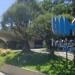 City Council suspends cutting of trees to create blocks