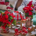 Latin origin of poinsettia: A popular Christmas flower used for decoration in the United States