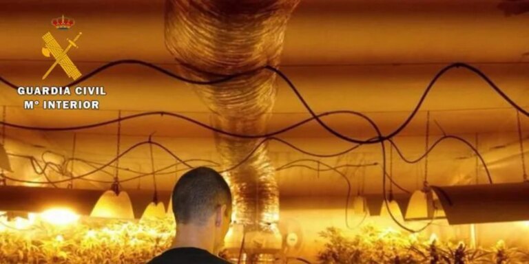 marihuana-guardia-civil-U60223127118vdV-1024x512@diario_abc.jpg