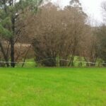 Bandolo, is on trial for two attempted murders in a house in Ordis