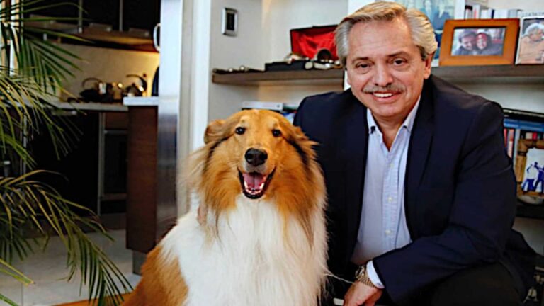 murio-dylan-el-perro-de-alberto-fernandez-te-despido-con-mucho-dolor-20251112-2136540.jpg