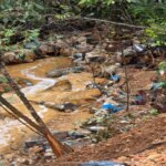 The collapse of a new landfill hit a stream and polluted water