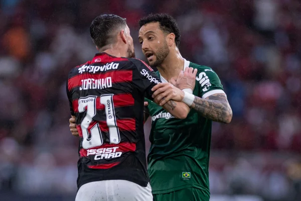 palmeiras-flamengo-libertadores-1.jpg