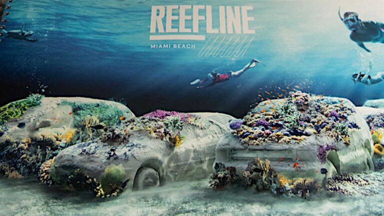 reefline-en-miami-20251111-2135954.jpg