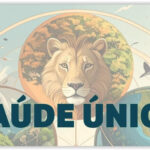 Cebes: Saúde Única is a setback in public health disguised as modernity; Understand why