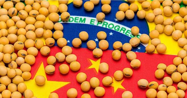 Soybean shipments from Brazil to China replace purchases from Beijing to the US — MercoPress