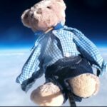 “Has anyone seen Bradfield Bear?”