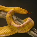 Basic features and what to do if you see them