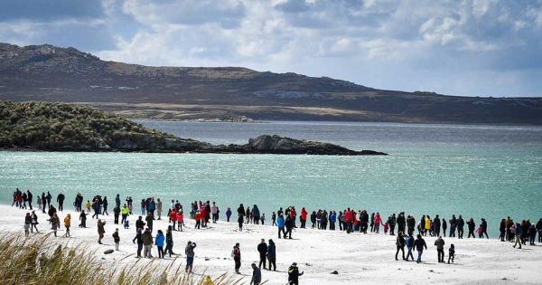 Falklands, popular penguin colony near Stanley could be closed due to bird flu cases – MercoPress