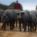 “We will be afraid all our lives that it will come back”