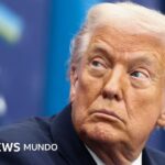 Trump: Europe faces the “disappearance of its civilization”