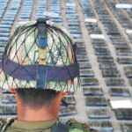 Organized crime: a challenge for democratic institutions