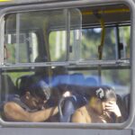 110021646-ri-rio-13-02-2025-calor-transporte-urbano-onibus-cheios-e-alguns-ainda-sem-o-ar.jpg