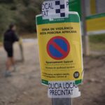 Swine fever in Spain kills nine wild boars in an area near Barcelona