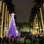 Eight tips for taking perfect night photos of Christmas picnics