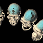 Brazilians study teeth to reveal their ancestors – 06/12/2025 – Reynaldo Jose Lopez