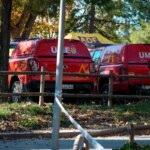 Catalonia believes swine fever may have entered Spain via a contaminated sausage sandwich eaten by wild boars.