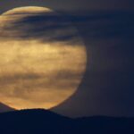 The last supermoon of 2025 will happen this Thursday (4) – 02/12/2025 – Science