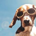 Weather for this week