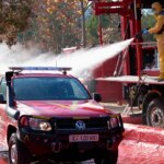 This is the wild boar hunt with UME in Barcelona: 150 soldiers, drones with thermal cameras and three disinfection stations