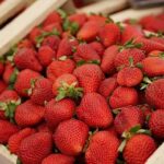 With free admission, the first Strawberry Festival arrives in La Plata
