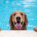 Weather for the long weekend in La Plata