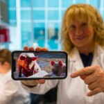 This is how the great hope against African swine fever was born in Spain: "It is more serious than Ebola in humans. With 50% survive, with that they all die"