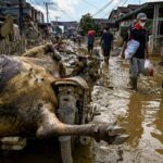 Deaths reach 1,800 in Asia, which expects more rain – 06/12/2025 – World