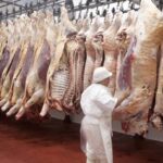 Meat increases by up to 70%, making sales difficult in the best month
