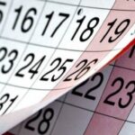 Activities: workshops, trade fairs