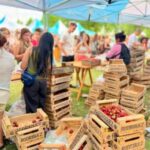 The strawberry advances on the farms and has its party