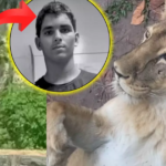 The body of the man killed by the lioness is buried, but the young man’s troubled past raises new doubts about the tragedy