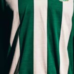 2056499229-camisa-titular-da-chapecoense-2026-traz-homenagem-ao-atletico-nacional-2.jpg