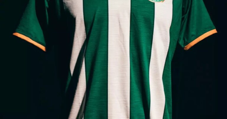 2056499229-camisa-titular-da-chapecoense-2026-traz-homenagem-ao-atletico-nacional-2.jpg