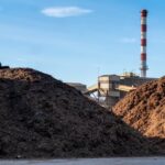 From biomass to renewable energy: a key vector for energy independence Special for ESG | economy