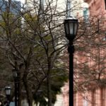 Due to lower deductions and taxes, tax collections fell in November for the fourth month in a row