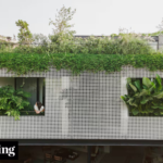 The Arabic grid house has become an urban oasis that combines nature and design