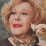 Cosita, Sylvia Pinal’s Chihuahua, experienced a supernatural event one year after the singer’s death