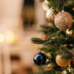 Cheapest small tree to protect your pocket