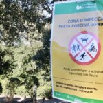Visits to Collserola decrease due to swine fever and the nature park asks that the “sacrifice” be maintained until the alert passes