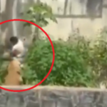A lioness kills a man who entered her cage in a Brazilian zoo without permission