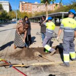 The city council launches the largest planting campaign with 6,500 new trees