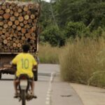 See what progresses and what stops