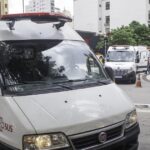 A lioness kills a man who entered a fenced enclosure without permission