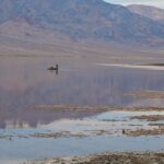 Death Valley in California breaks rainfall record despite being the driest place in North America