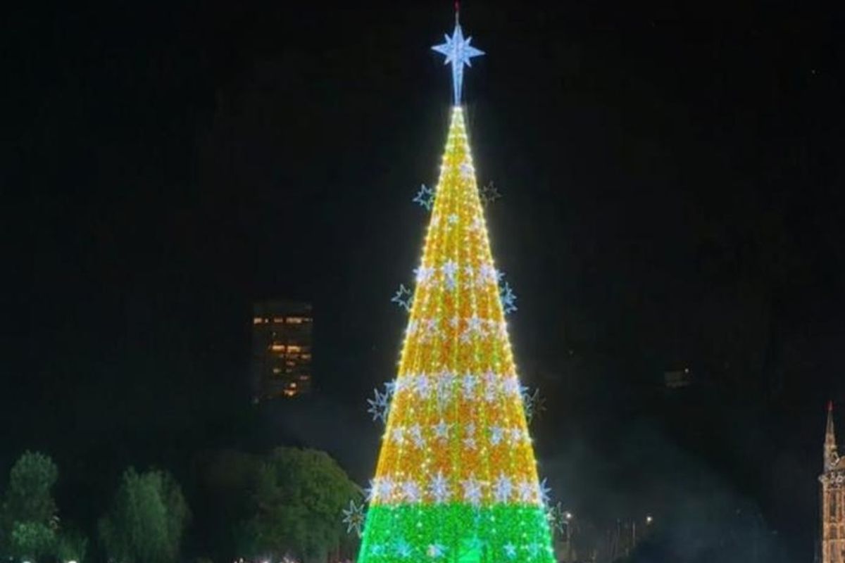 Arvore-de-Natal-do-Ibirapuera-saiba-a-data-de-inauguracao-da-atracao-1.jpg