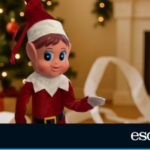 The new Naughty Dwarf includes a calendar of pranks for the morning when you’re running out of ideas | Lifestyle | an offer