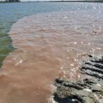 The head of a meat processing plant has been on trial for dumping polluted waste into the Salado River