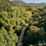 Sierra Morena in Seville, an oasis between pastures of oak and cork trees