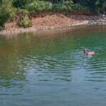 Woman drowns in river after being submerged for more than an hour in South Carolina